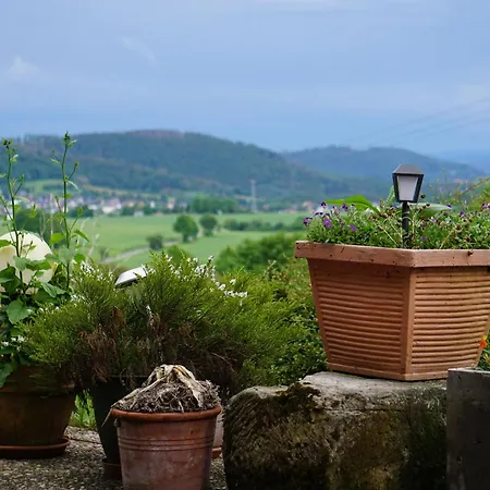Waldhotel Weitblick Hotel Fichtach
